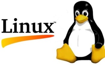 Linux : ce qu'on peut faire ou pas