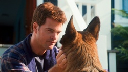 Robin!! Tu es de retour avec ton chien!