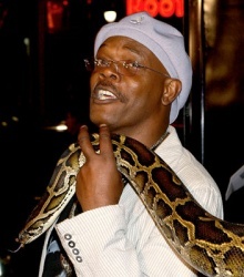 Des serpents sans avion