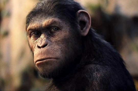 16790-planete-singes-les-origines-1.jpg