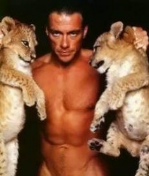 jcvd2_250