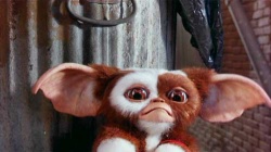 Gizmo dans le dernier rôle de sa carrière