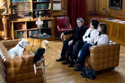 Un Trésor... Pour la psy canine...