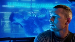 Sam Worthington, quasi-bleu.