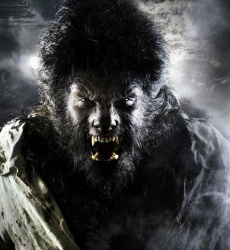 Wolfman (2010) : Toro-garou