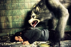 Ginger Snaps (2000) : mais où sont Cracs et Pops ?
