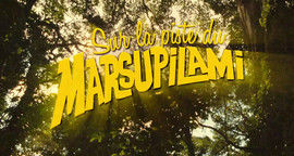 Sur la piste du Marsupilami