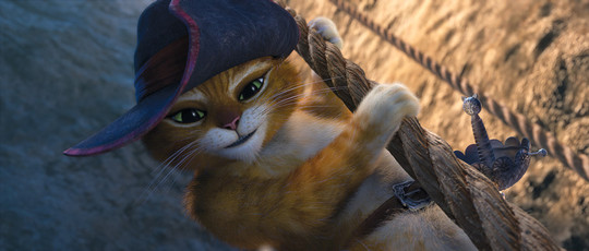 Le Chat Potté, joli, gentil, pour les enfants
