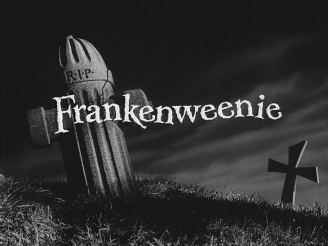Tim Burton dans Frankenweenie