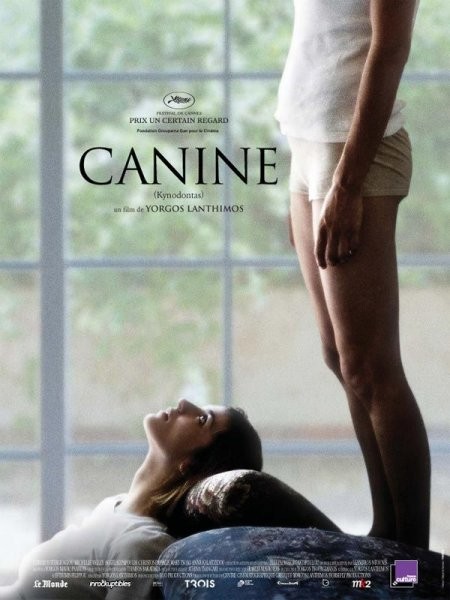  Mk2 Diffusion dans Canine