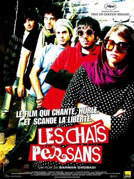 Les Chats Persans