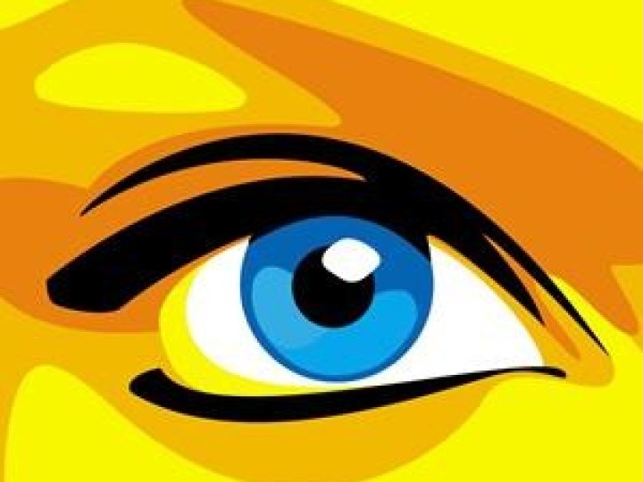 Loft Story, Compte-rendu des émissions