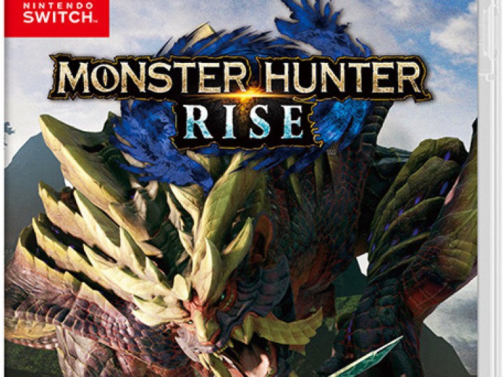 Monster Hunter Rise Sunbreak - Test