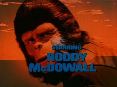 Roddy McDowall dans La Planète des singes - Saison 1