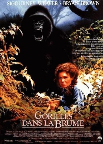 Universal Pictures dans Gorilles dans la brume