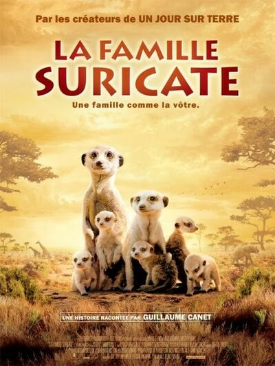 Guillaume Canet dans La famille Suricate