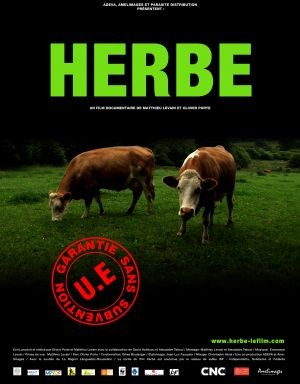 Herbe