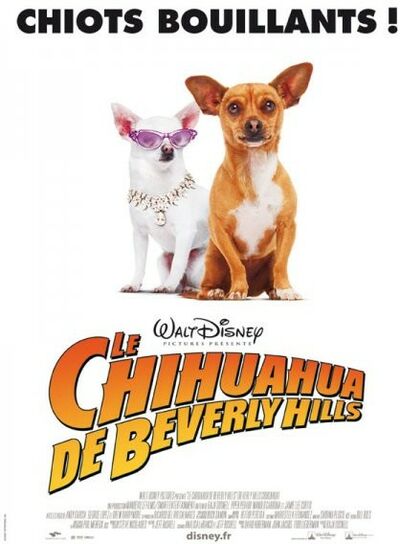 Le Chihuahua de Beverly Hills
