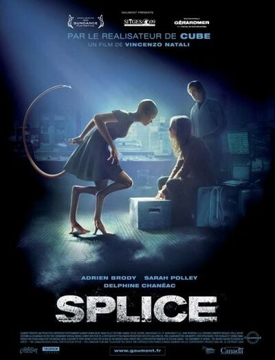 Splice