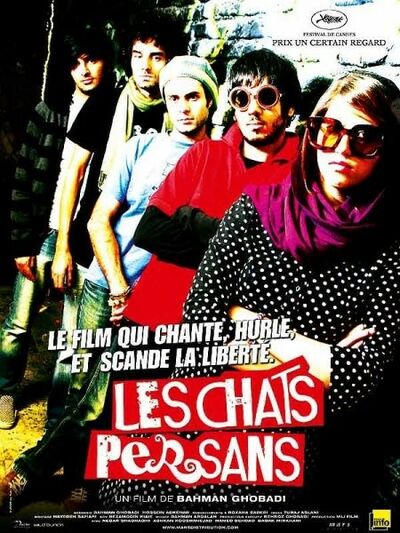 Les Chats Persans