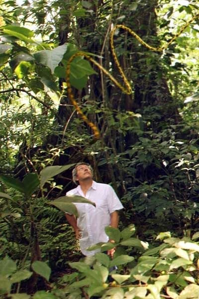 Houba ! Le Marsupilami et l'Orchidée de Chicxulub