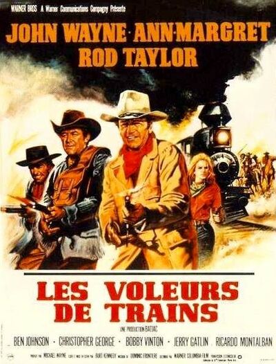 Les Voleurs de train