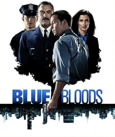 Donnie Wahlberg dans Blue Bloods - Saison 1