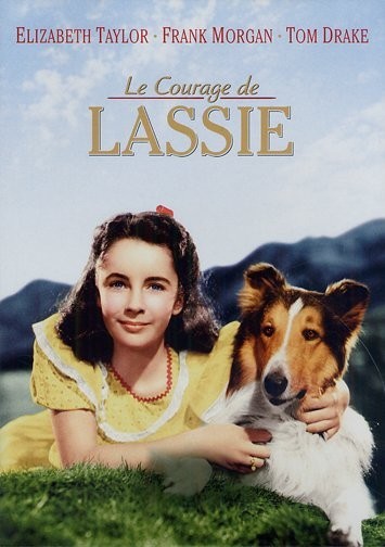 Le Courage de Lassie