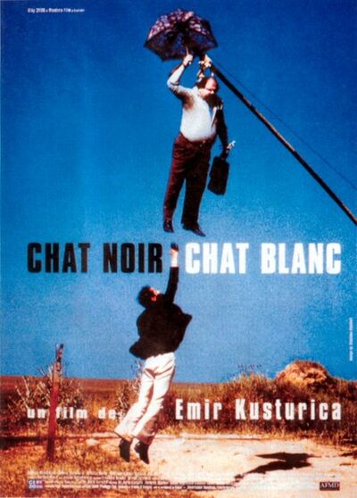 Chat noir, chat blanc