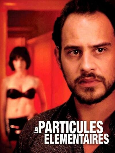 Les particules élémentaires