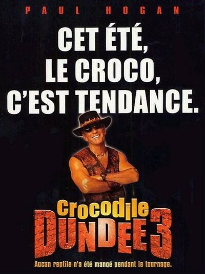 Crocodile Dundee 3