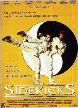Sidekicks, partenaires de combat