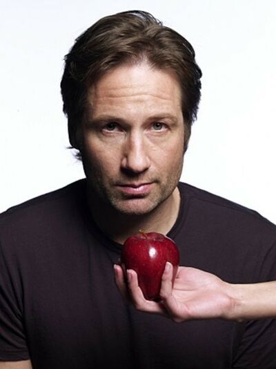 David Duchovny dans Californication - Saison 1