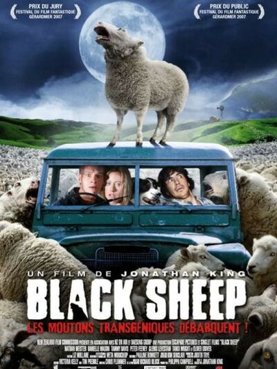 Black sheep