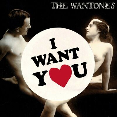 Bertrand Bonello dans The Wantones - I want you