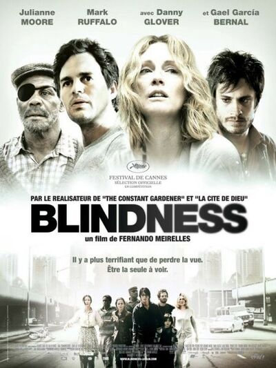 Gael García Bernal dans Blindness