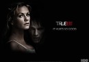 Le retour de True Blood (saison 5) !